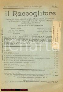 Giornale, rivista storica 1904 PADOVA Il Raccoglitore, Bollettino Cattedra Ambulante di Agricoltura 1