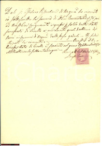 Documento originale, autentico 1875 ARQUA' POLESINE RO Diritti beni Isidoro VISENTINI 1
