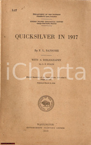Libro, pubblicazione d epoca 1919 WASHINGTON F. L. RANSOME Quicksilver in 1917 1