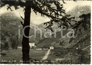Cartolina originale da collezione 1951 BALME TO Veduta panoramica PIANO DELLA MUSSA Cartolina FG VG 1