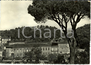 Cartolina originale da collezione 1957 SCANSANO GR Panorama con CASTELLO di MONTEPO  Cartolina FG VG 1