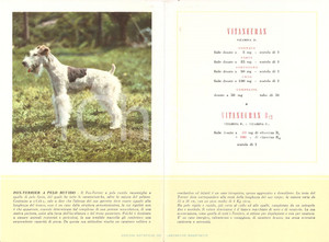 Materiale pubblicitario d’epoca 1956 MILANO Laboratori MAESTRETTI Vitaneuran - Scheda Razza FOX TERRIER 1