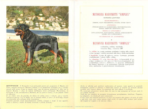 Materiale pubblicitario d’epoca 1956 MILANO Laboratori MAESTRETTI Metionina - Scheda Razza ROTTWEILER *13x20 1