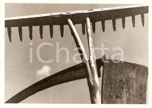 Fotografia d'epoca originale 1939 PROPAGANDA AGRICOLA I sacri attrezzi rurali *Fotografia 1