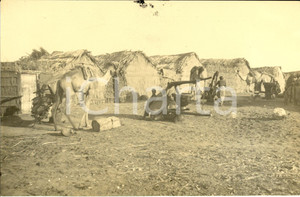 Fotografia d epoca originale 1930 ca SOMALIA Capanne indigene con cammelli Fotografia 1