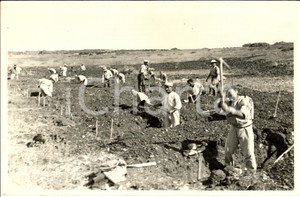 Fotografia d epoca originale 1933 BEIDA LIBIA Scavi di nuovi vigneti nei villaggi agricoli Fotografia 1