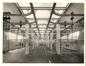Fotografia d epoca originale 1950 ca PAVIA Macello  Veduta della sala per i bovini Foto CHIOLINI & TURCONI 1