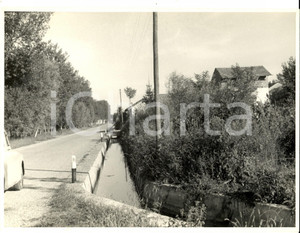 Fotografia d epoca originale 1950 ca SUARDI Campagna nei pressi della cascina SAN MICHELE Foto artistica 1