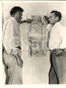 Fotografia d epoca originale 1950 ca USA Due periti studiano una carta geografica Foto 17x23 cm 1