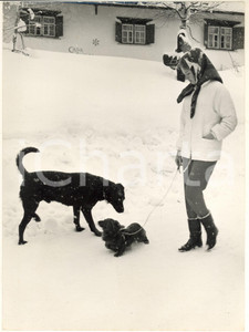 Fotografia d epoca originale 1960 ca KLOSTERS CH Paola del BELGIO sotto la neve con il suo cane Foto 21x27 1