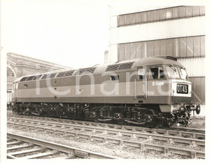 Fotografia d epoca originale 1975 ca UNITED KINGDOM Train D 1504  OT43 Fotografia 21x17 cm 1
