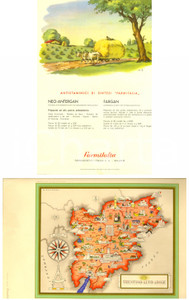 Materiale pubblicitario d’epoca 1951 FARMITALIA IMAGO ITALIAE Trentino Pubblicità FARGAN e NEOANTERGAN 1