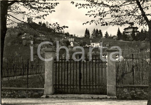 Cartolina originale da collezione 1952 TARCENTO UD Ville FG VG 1