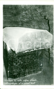 Cartolina originale da collezione 1940 ca SAKKARA La tomba di APIS LEHNERT LANDROCK FP NV 1