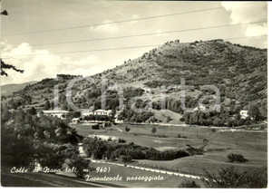 Cartolina originale da collezione 1955 COLLE DI NAVA IM Un incantevole passeggiata Cartolina FG VG 1