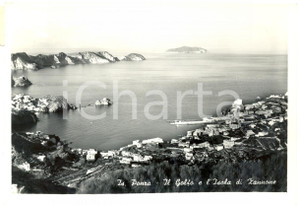 Cartolina originale da collezione 1955 ca ISOLA DI PONZA LT Golfo e Isola ZANNONE Cartolina postale FG VG 1
