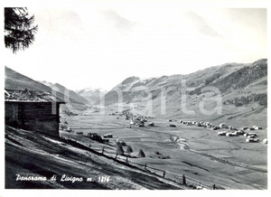 Cartolina originale da collezione 1967 LIVIGNO SO Veduta generale Cartolina postale FG VG 1