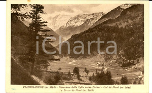 Cartolina originale da collezione 1930 ca VALGRISANCHE AO Panorama verso FORNET  COL DU MONT Cartolina 1