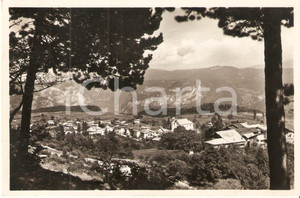 Cartolina originale da collezione 1950 FAI DELLA PAGANELLA TN Panorama del paese Cartolina FP VG 1