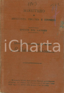 Documento originale, autentico 1917 CAVRIAGO RE Libretto ammissione al lavoro di Dina CILLONI 1