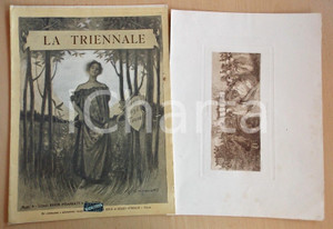 Giornale, rivista storica 1896 TORINO LA TRIENNALE Giornale d arte nÂ° 9 Stampa Il re Sole 1