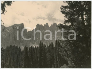 Fotografia d epoca originale 1950 ca DOLOMITI Veduta delle PALE DI SAN MARTINO dalla Baita Segantini Foto 1