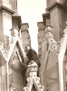 Fotografia d epoca originale 1959 DUOMO DI MILANO Uomo tenta suicidio minacciando di gettarsi da guglie Foto 1