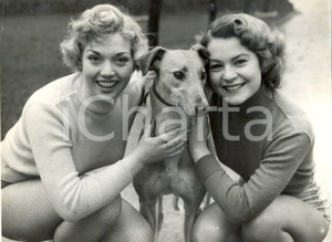 Fotografia d epoca originale 1955 WEMBLEY KENNELS CRUFT S SHOW  Pauline JONES with greyhounds E.G. Photo 1