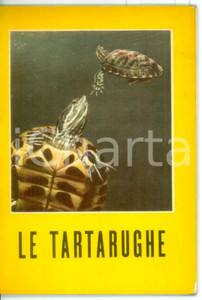 Libro, pubblicazione d epoca 1957 AA.VV. Le tartarughe  Editore ANTONIO VALLARDI  Pubblicazione 31 pp. 1