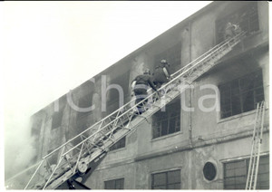 1961 TORINO Incendio alla CEAT - I pompieri al lavoro *Fotografia 18x13 cm