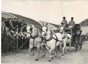 1955 ca VERONA Fiera dei Cavalli - Quadriglia sfila davanti al pubblico - Foto Fotografia d'epoca con didascalia coeva al verso. CONDIZIONI: G (lievi sovraimpressioni)FORMATO: 18x13 cm     originale e autentica 1