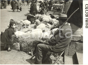 1958 NAPOLI Mercato di Pasqua - Bambini attratti dagli agnelli *Foto 18x13 cm  Fotografia d'epoca con didascalia coeva al verso.   CONDIZIONI: G FORMATO: 18x13 cm     originale e autentica 1
