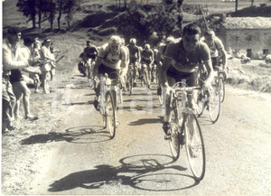 1954 TOUR DE FRANCE MILLAU-LE PUY-EN-VELAY Peloton emmené par Jean DOTTO Photo