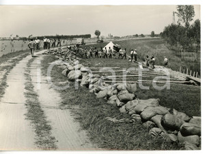 1958 ALLUVIONE PORTO TOLLE - DONZELLA Contadini costruiscono una barricata  Fotografia d'epoca con didascalia coeva al verso. CONDIZIONI: GFORMATO: 18x13 cm     originale e autentica 1