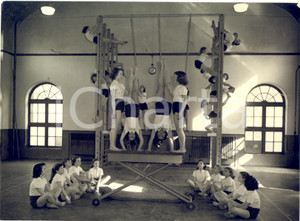 1953 SOUTHAMPTON Deanery School - Schoolgirls demonstrate the utility gymnasium Fotografia d'epoca con didascalia coeva al verso. CONDIZIONI: G (ma minime piegature)FORMATO: 20x15 cm     originale e autentica 1