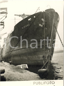 Fotografia d epoca originale 1954 GENOVA La corvetta ALCIONE al rientro dall Oceano Indiano Foto 13x18 cm 1