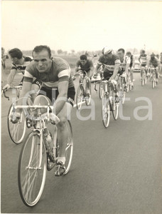 1959 CICLISMO GIRO DI LOMBARDIA Diego RONCHINI guida il gruppo *Foto 18x24 cm Fotografia d'epoca con didascalia coeva al verso. CONDIZIONI: POOR (sovraimpressione al lato sinistro e piegatura al margine superiore)FORMATO: 18x24 cm     originale e autentica 1