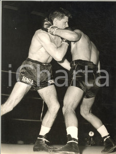 1954 MILANO BOXE Incontro tra Duilio LOI e Bruno VISINTIN - Foto 18x24 cm Fotografia d'epoca, con didascalia coeva al verso.  CONDIZIONI: G (ma lievi piegature marginali) FORMATO: 18x24 cm    originale e autentica 1