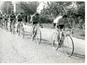 1957 CICLISMO GIRO D'ITALIA Ferrara-Cattolica - Nino DEFILIPPIS e Nino ASSIRELLI Fotografia d'epoca con didascalia coeva.  CONDIZIONI: FAIR (piegatura all'angolo inferiore destro) FORMATO: 18x13 cm     originale e autentica 1