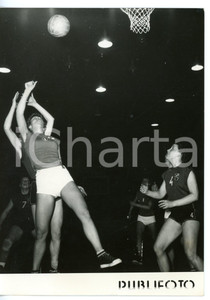 1954 NAPOLI BASKET Femminile ITALIA-BELGIO 51-50 Tiro a canestro *Foto 13x18 cm Fotografia d'epoca con didascalia coeva.  CONDIZIONI: G (ma lievi sovraimpressioni) FORMATO: 13x18 cm     originale e autentica 1