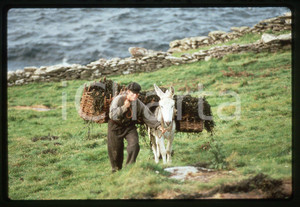 35mm vintage slide*1992 FAR AND AWAY - Tom CRUISE in una scena del film (2)