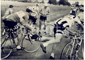 1963 CICLISMO TOUR DE FRANCE - Jacques ANQUETIL si rialza dopo una caduta *Foto