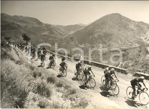 1953 CYCLISME TOUR DE FRANCE Le peloton dans les Alpes - Photo 18x13 cm