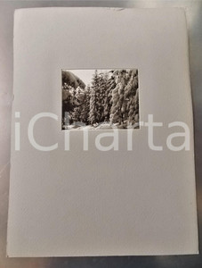 Fotografia d epoca originale 1940 MARIAZELL AUSTRIA Veduta del bosco d inverno Foto con passepartout 24x34 1