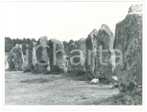 Fotografia d epoca originale 1963 CARNAC  FRANCE Les Alignements  Foto ARTISTICA 24x18 cm 2 1