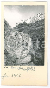 Fotografia d epoca originale 1966 CINQUE TERRE  CORNIGLIA  Veduta dalla scogliera Foto 9x17 cm 1