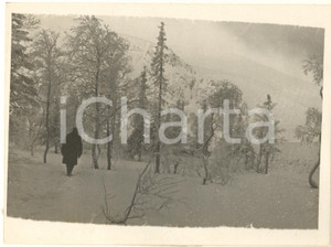 Fotografia d epoca originale 1935 KIROVSK URSS Nevicata in un parco cittadino  Foto 20x15 1