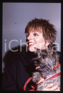 Fotografia d epoca originale Liza MINNELLI  Ritratto con il cane Lilly  MILANO 1989 35mm vintage slide 7 1