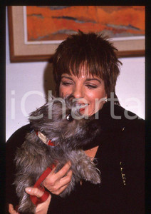 Fotografia d epoca originale Liza MINNELLI  Ritratto con il cane Lilly  MILANO 1989 35mm vintage slide 16 1