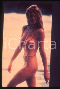 35mm vintage slide* 1980 ca CINEMA American actress & model Kim BASINGER (76)